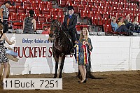11buck_7251 proof