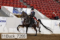 11buck_7255 proof