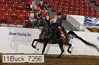 11buck_7256 proof