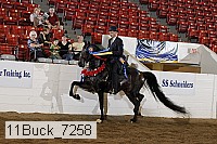 11buck_7258 proof