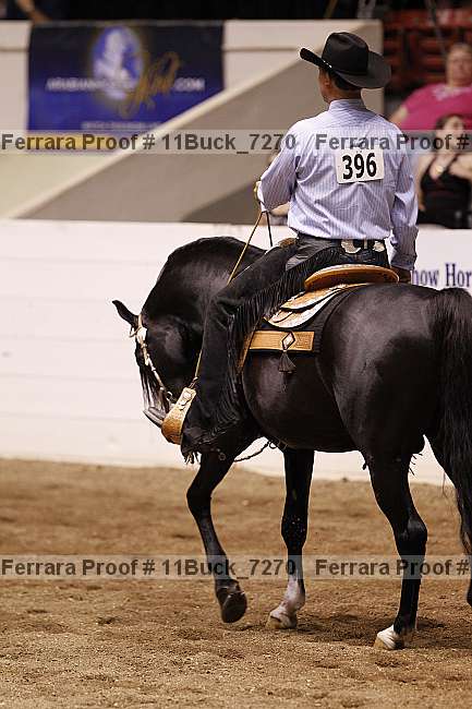 Proof 11buck_7270