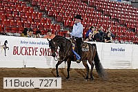 11buck_7271 proof