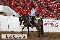 11buck_7272 proof