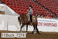 11buck_7274 proof