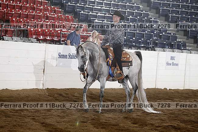 Proof 11buck_7278