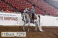 11buck_7279 proof