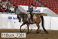 11buck_7281 proof