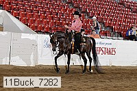 11buck_7282 proof