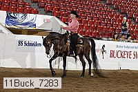 11buck_7283 proof