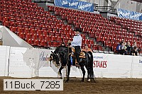 11buck_7285 proof