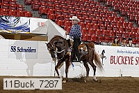 11buck_7287 proof