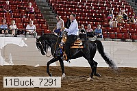 11buck_7291 proof