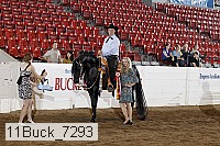 11buck_7293 proof