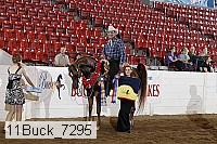 11buck_7295 proof