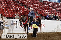 11buck_7296 proof
