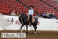 11buck_7302 proof