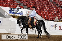 11buck_7305 proof
