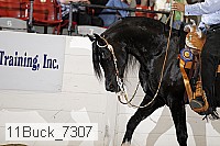 11buck_7307 proof