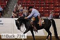 11buck_7311 proof