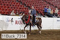 11buck_7314 proof