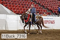 11buck_7316 proof