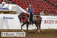 11buck_7318 proof