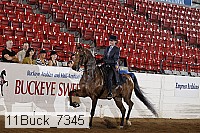 11buck_7345 proof