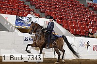11buck_7346 proof