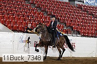 11buck_7348 proof