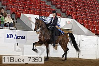 11buck_7350 proof