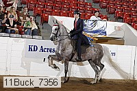 11buck_7356 proof