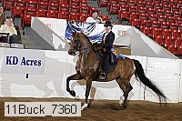 11buck_7360 proof