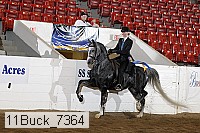 11buck_7364 proof