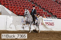 11buck_7365 proof