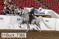 11buck_7366 proof