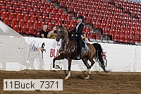 11buck_7371 proof