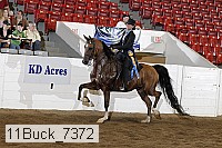 11buck_7372 proof