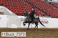 11buck_7373 proof