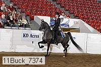 11buck_7374 proof