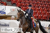 11buck_7378 proof