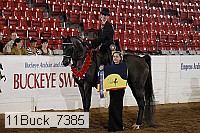11buck_7385 proof