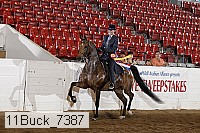 11buck_7387 proof