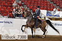 11buck_7388 proof