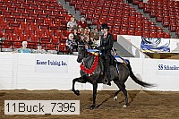 11buck_7395 proof