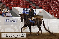 11buck_7427 proof