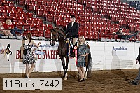 11buck_7442 proof