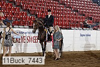 11buck_7443 proof