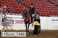 11buck_7446 proof