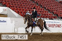 11buck_7451 proof