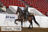 11buck_7188 proof